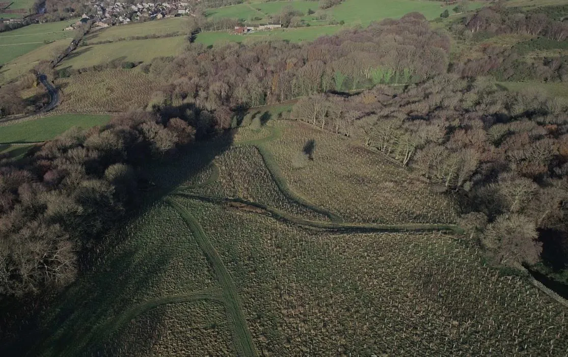 Drone photograph of west and east plantations