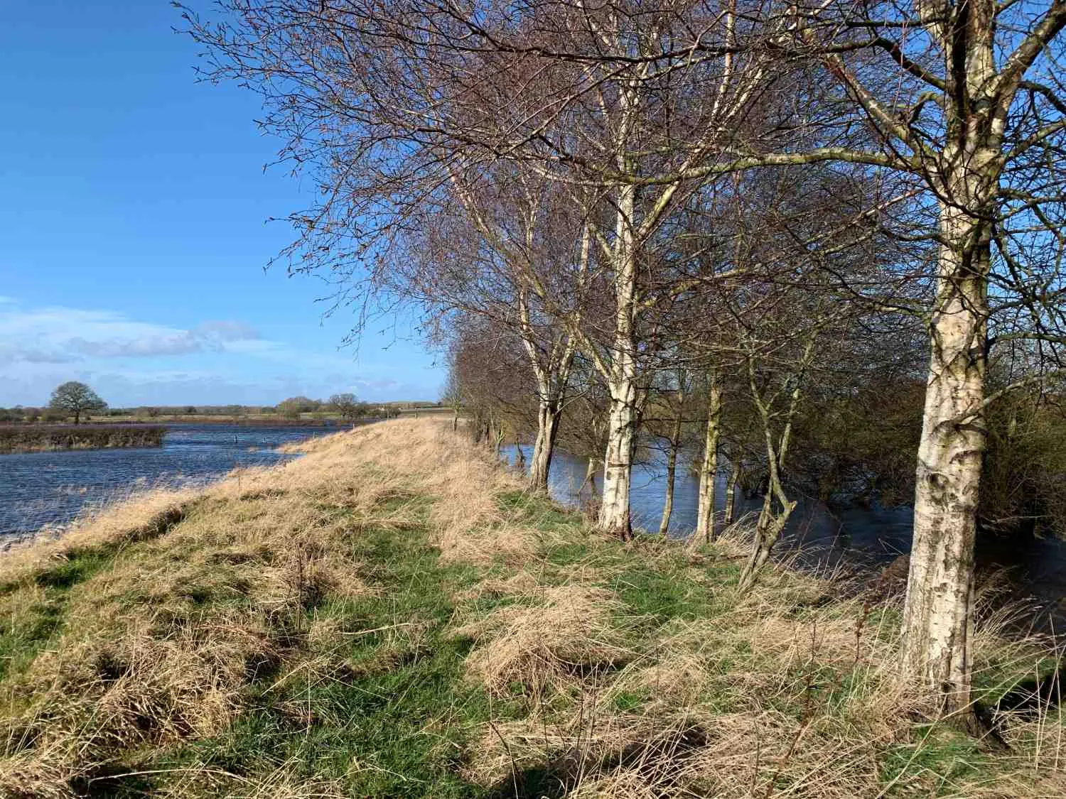 Flooding at Skip Bridge