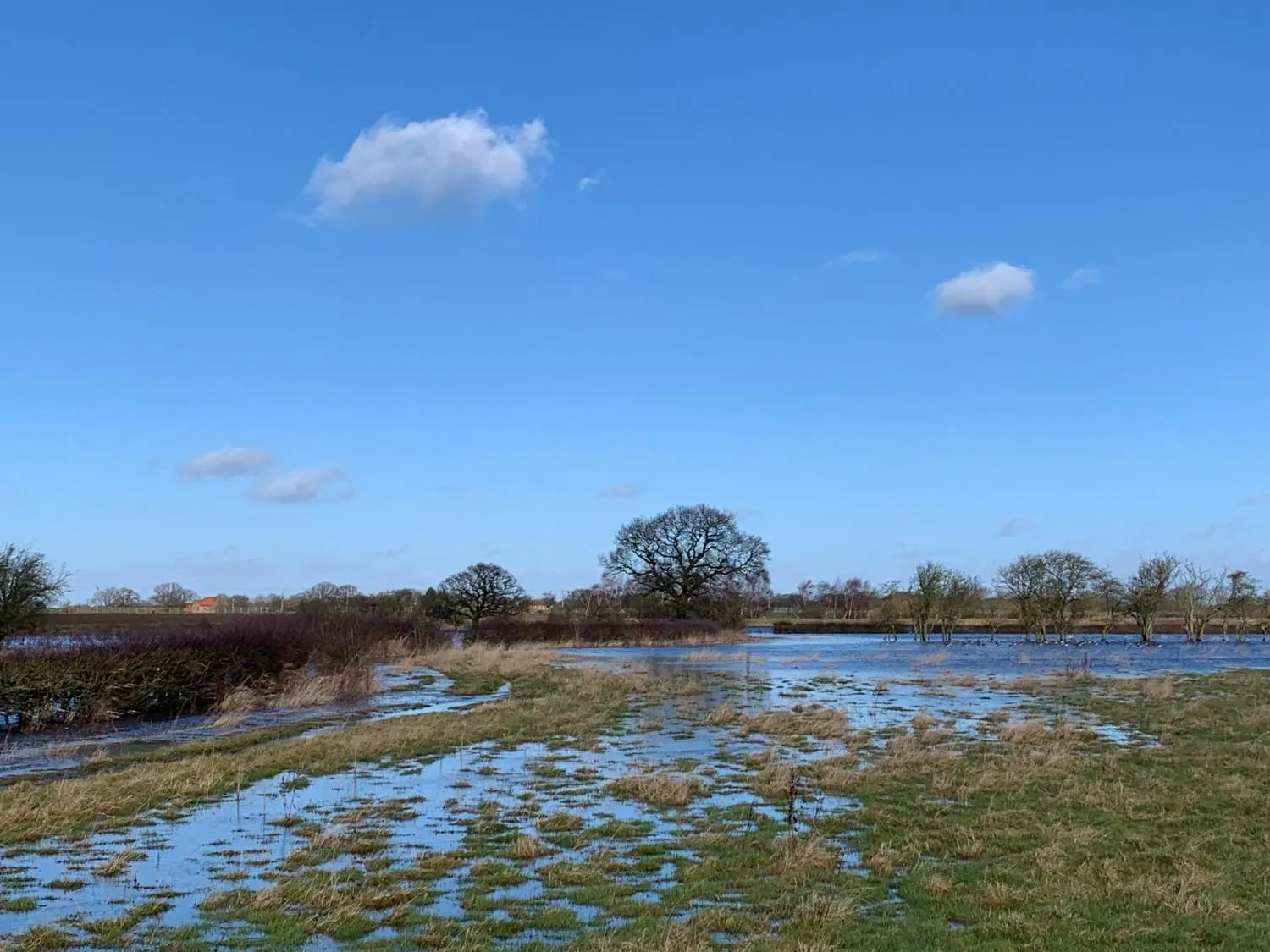 Flooding at Skip Bridge