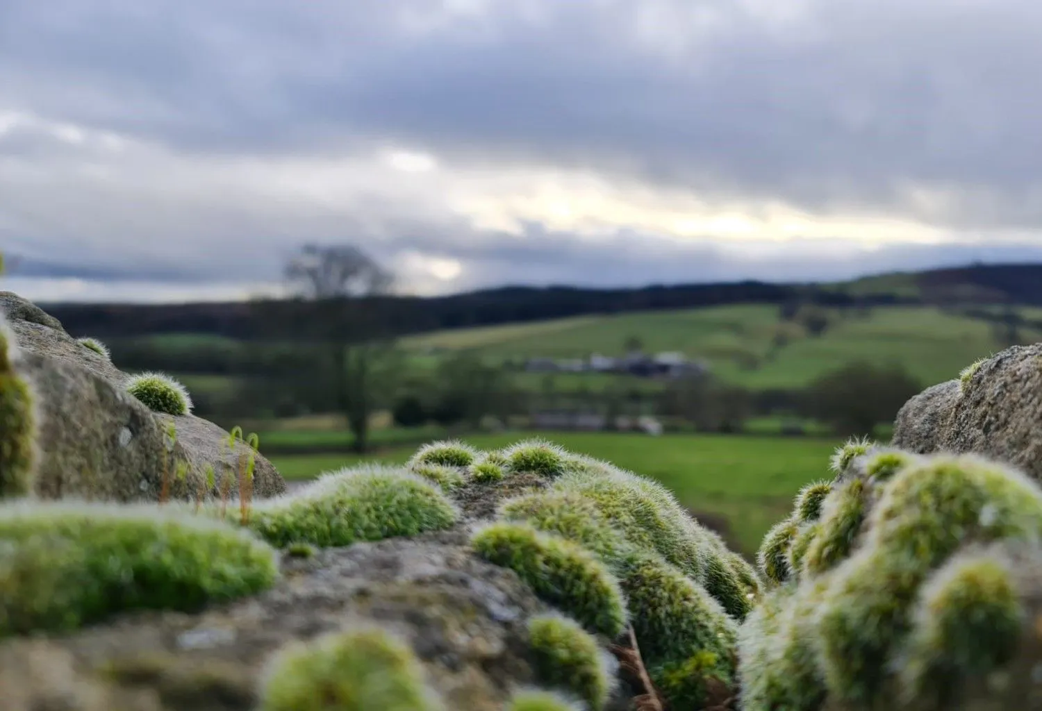 Overlooking wall