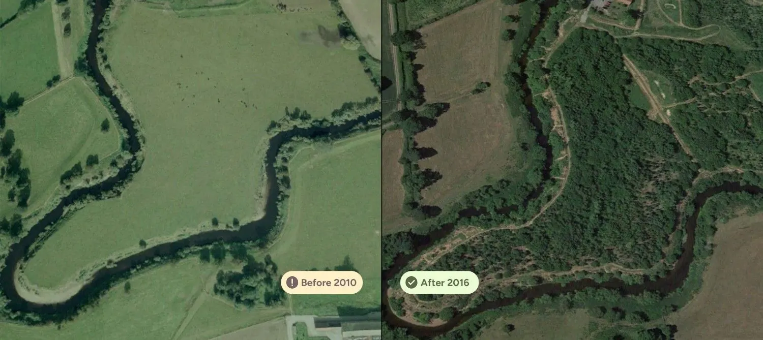 Make It Wild before and after