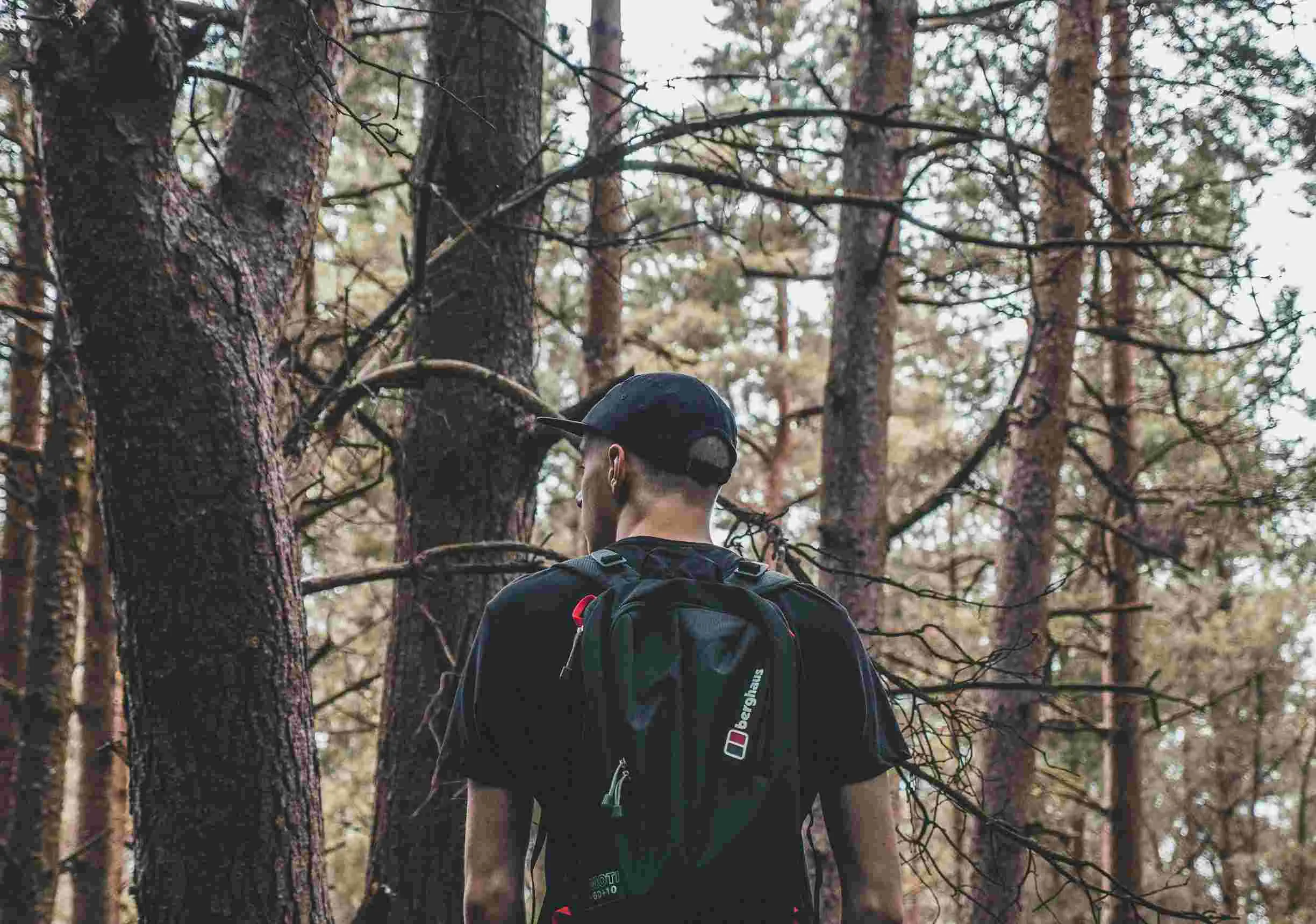 Man with a backpack and a cap in a forest