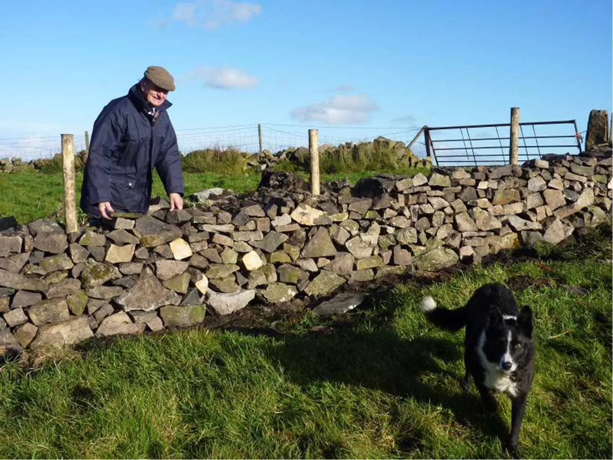 Man with a dog in a field