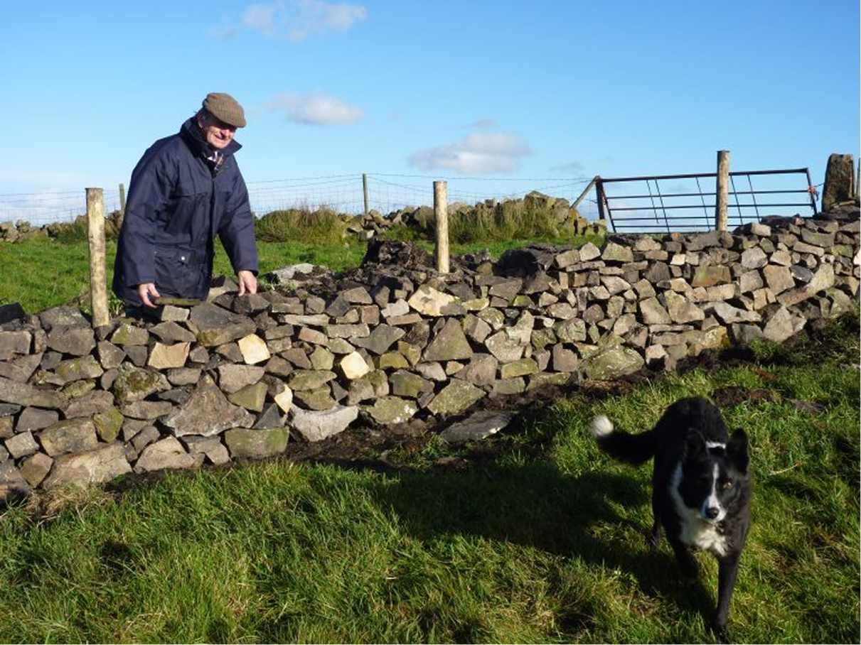 man-with-a-dog-in-a-field