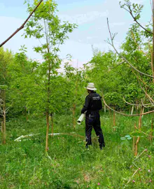 Man worker in branded uniform in a green field with trees