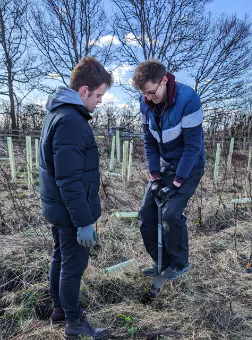 Men planting trees