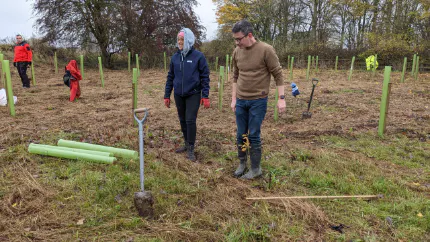 People planting trees in a field