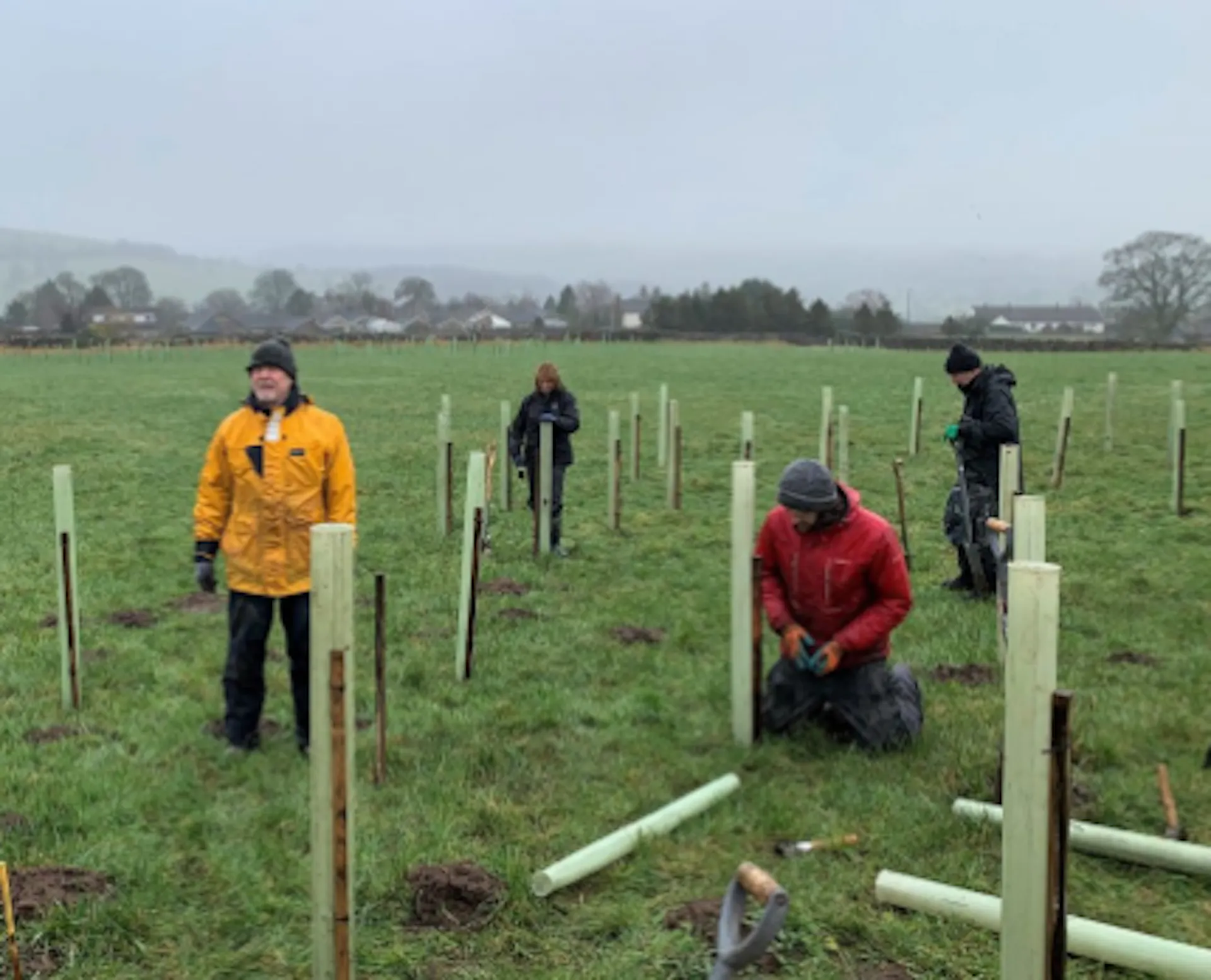 People planting trees