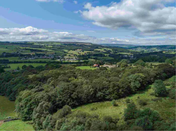 Shot of a hilly area with fields and trees