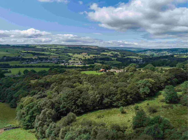 Shot of a hilly area with fields and trees