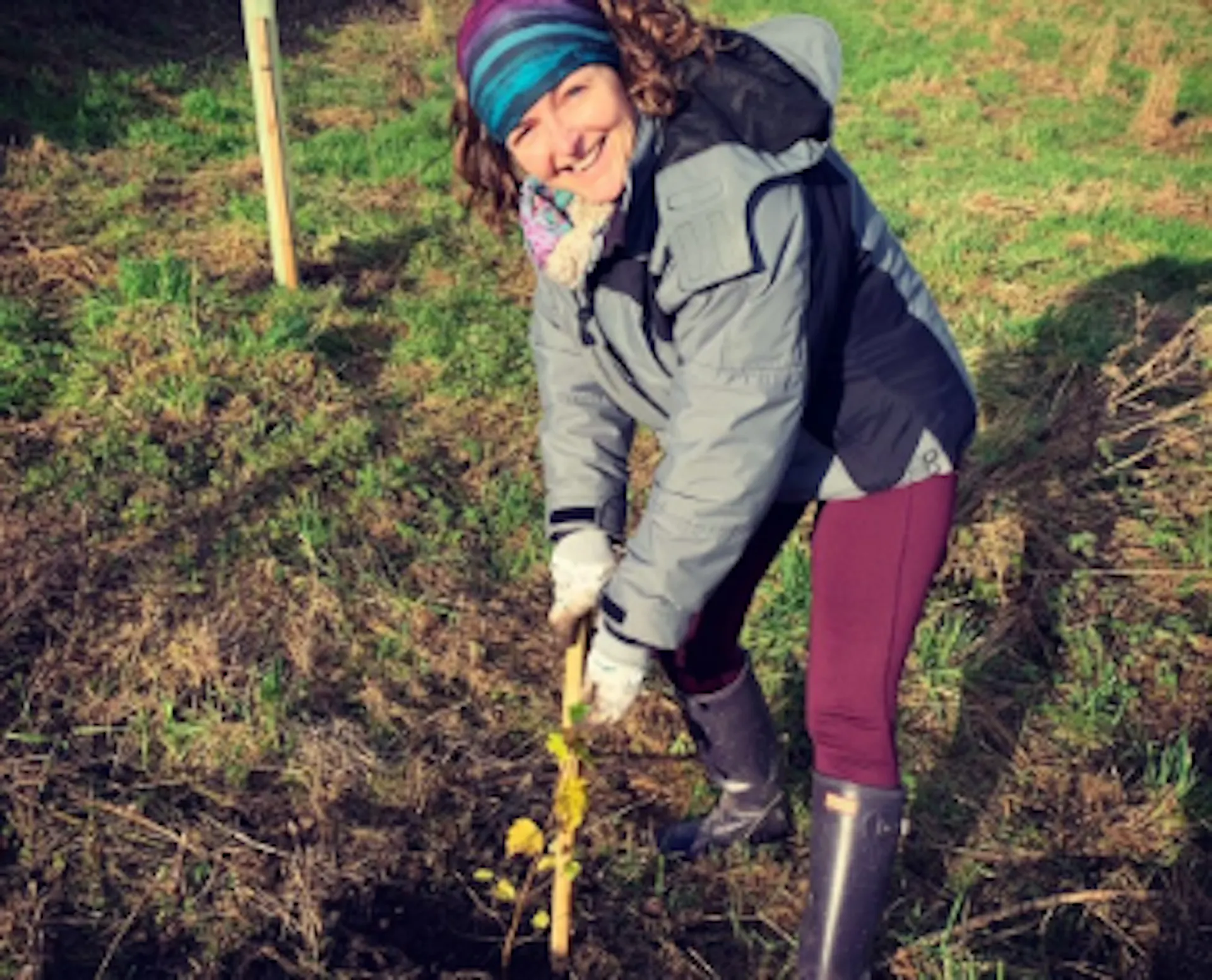 Woman planting trees