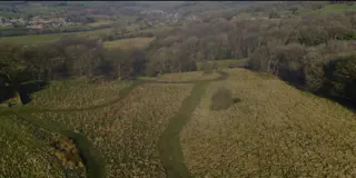 Carbon offsetting video placeholder